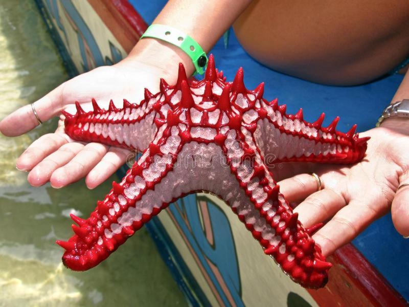 Nyumba Tulivu Daire Watamu Dış mekan fotoğraf