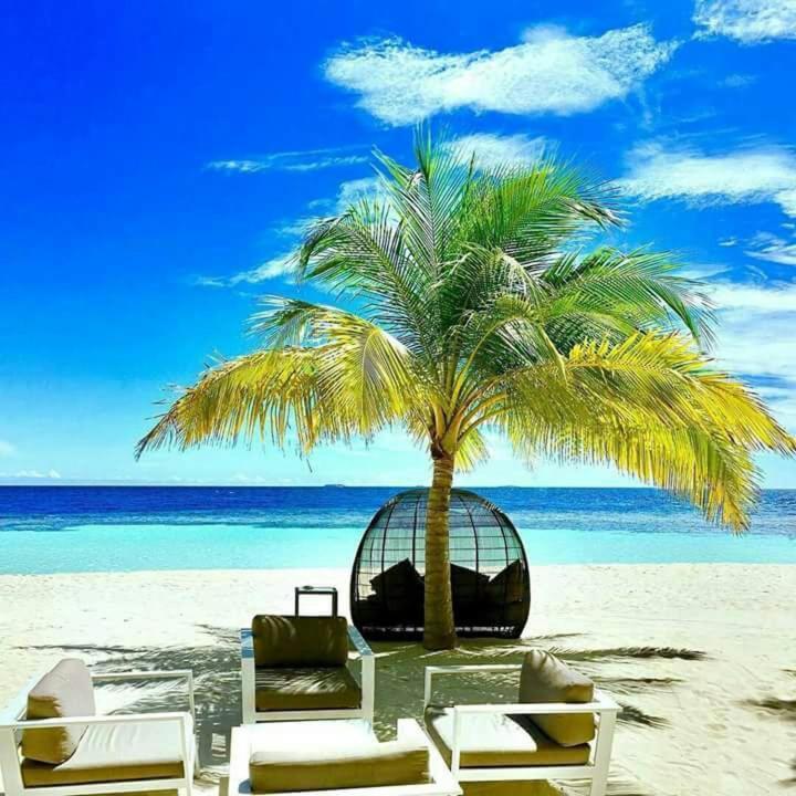 Nyumba Tulivu Daire Watamu Dış mekan fotoğraf
